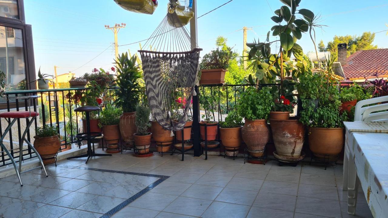 Villa George - Family Holidays Néa Mákri المظهر الخارجي الصورة